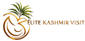 Elite Kashmir Visit